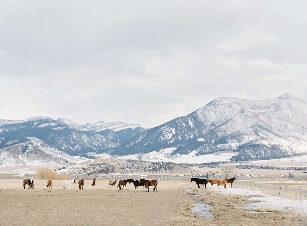 Yellowstone National Park Winter Travel 0001