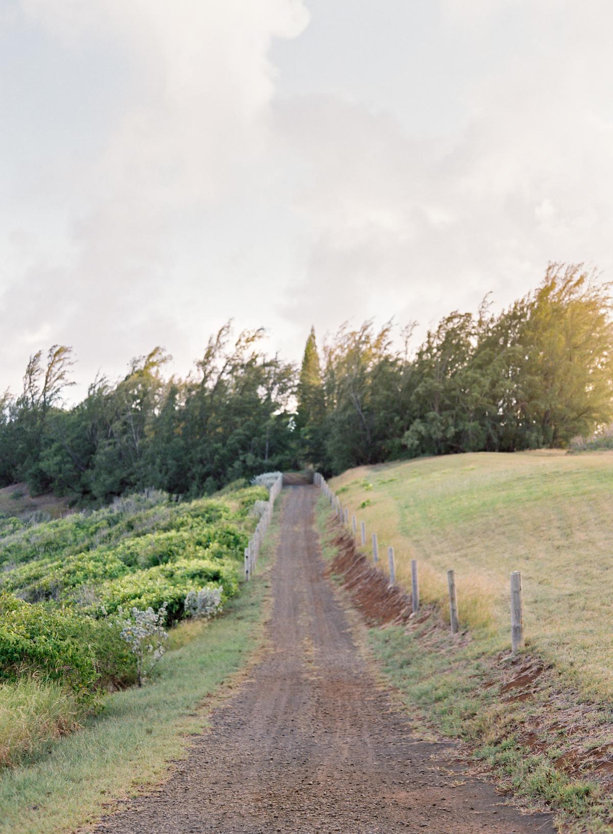 Kauai wedding omalley photographers moana events 0051