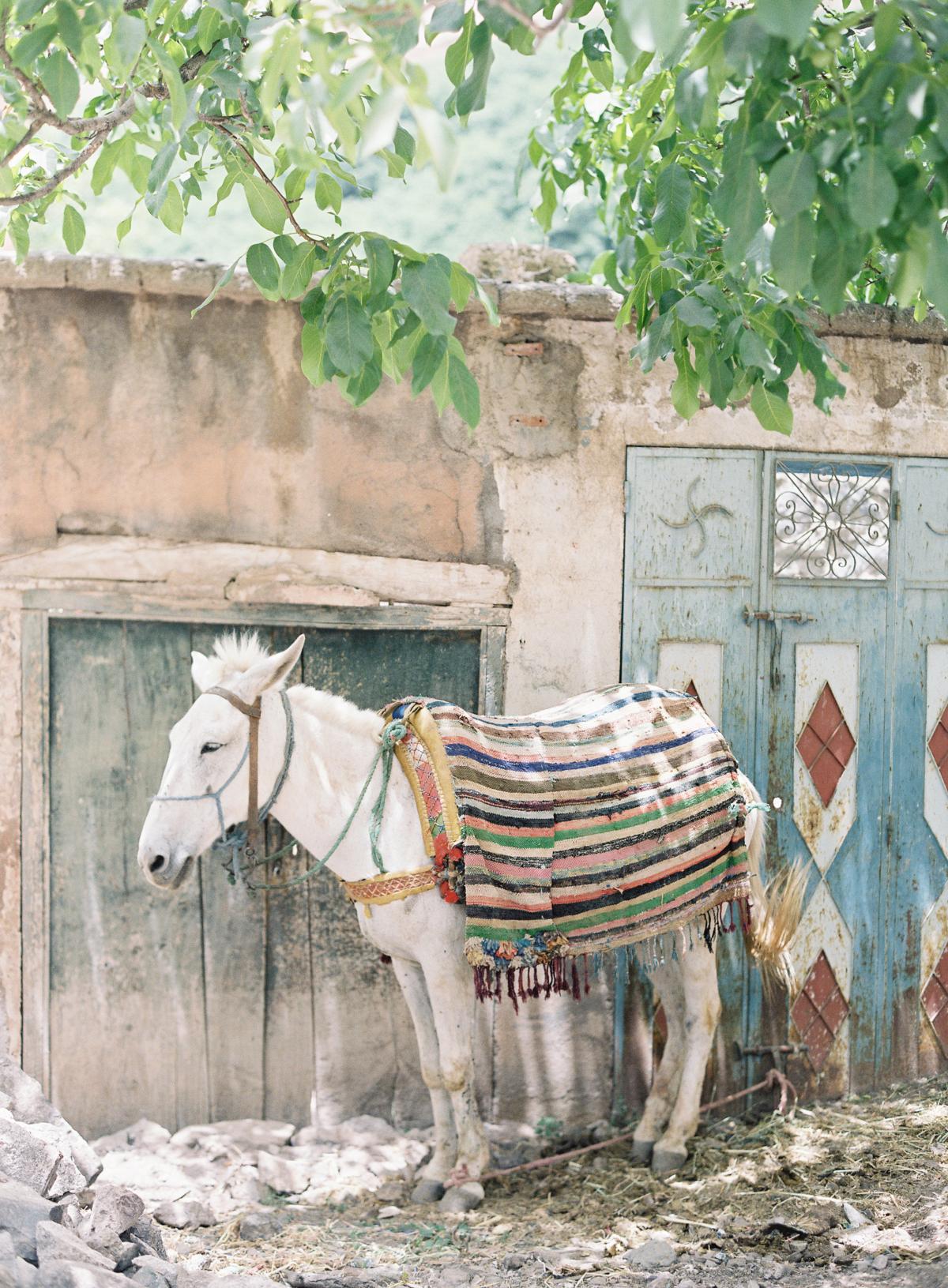 Marrakech Morocco Travel Photos Omalley Photographers 0033