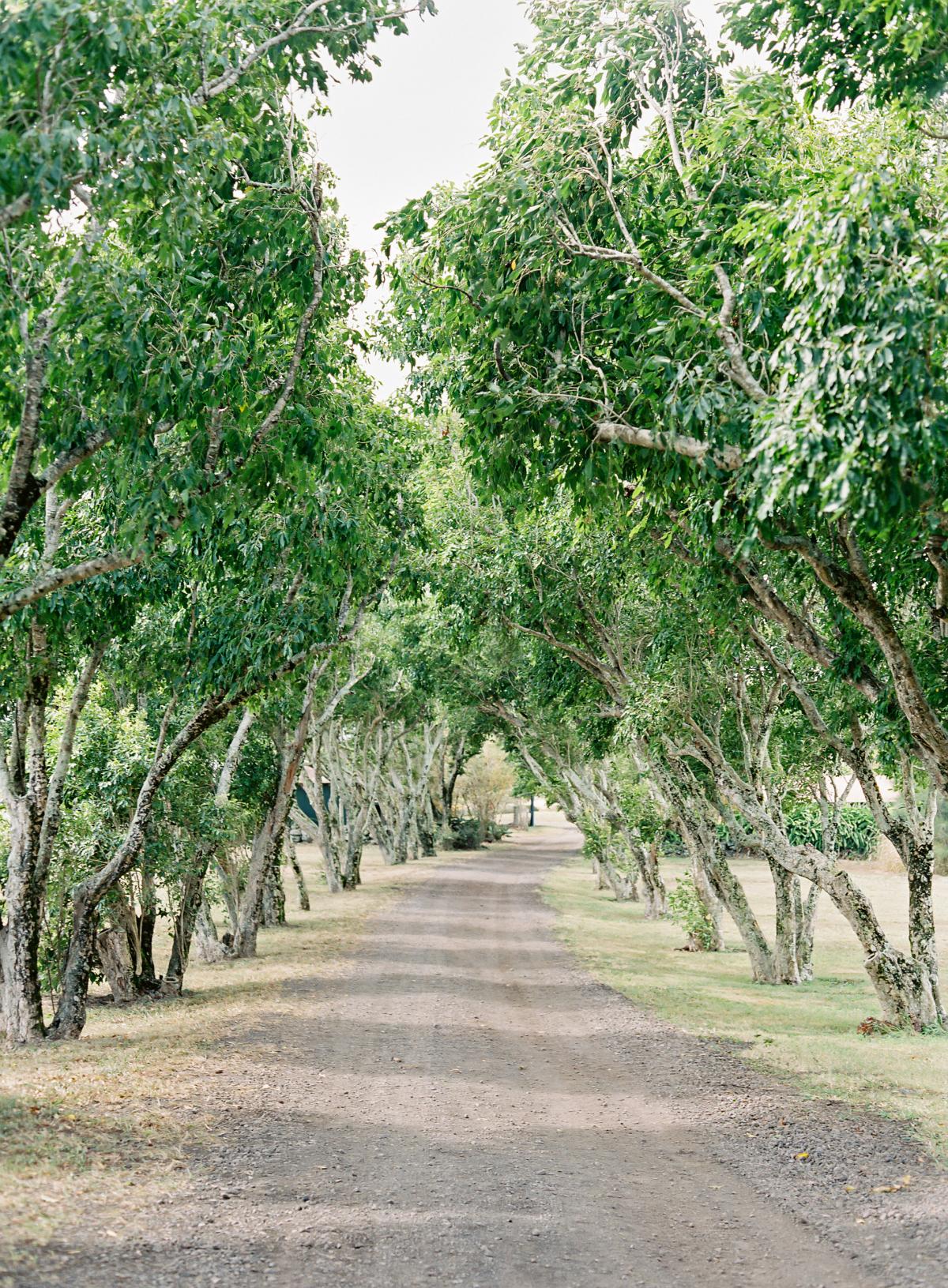 Puakea ranch wedding omalley photographers 0023