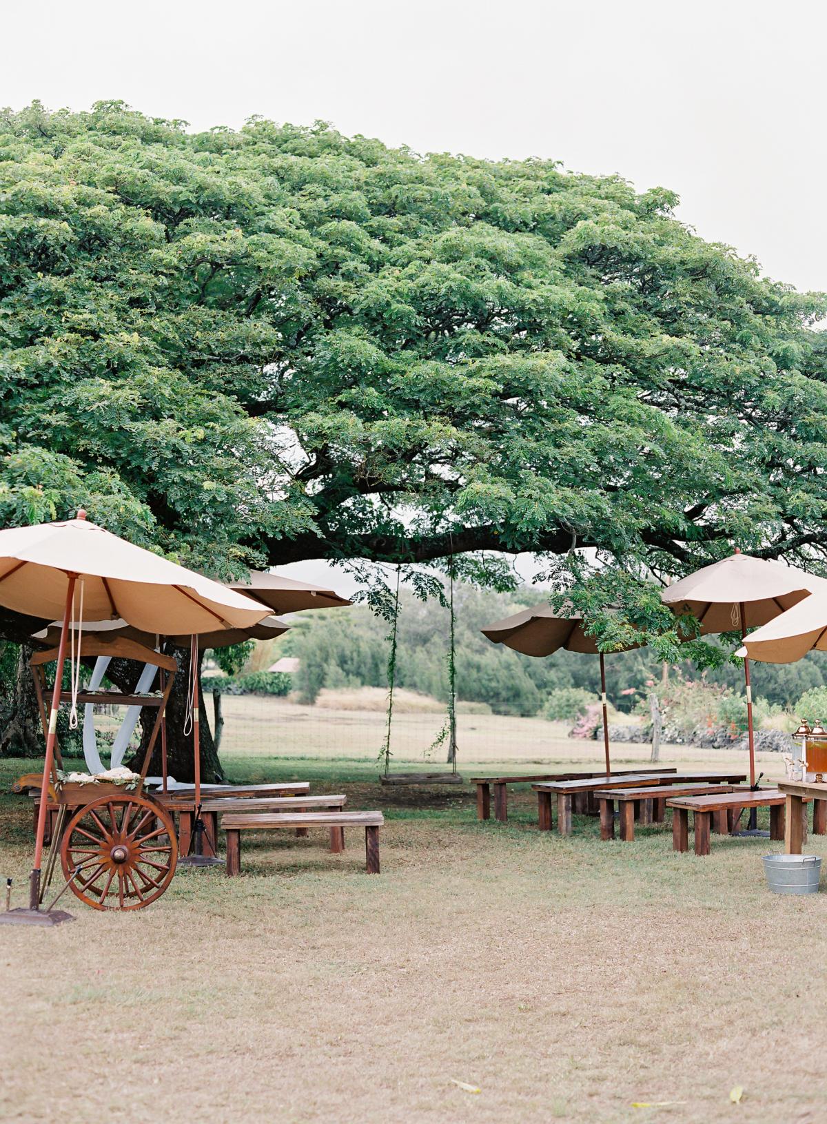 Puakea ranch wedding omalley photographers 0043