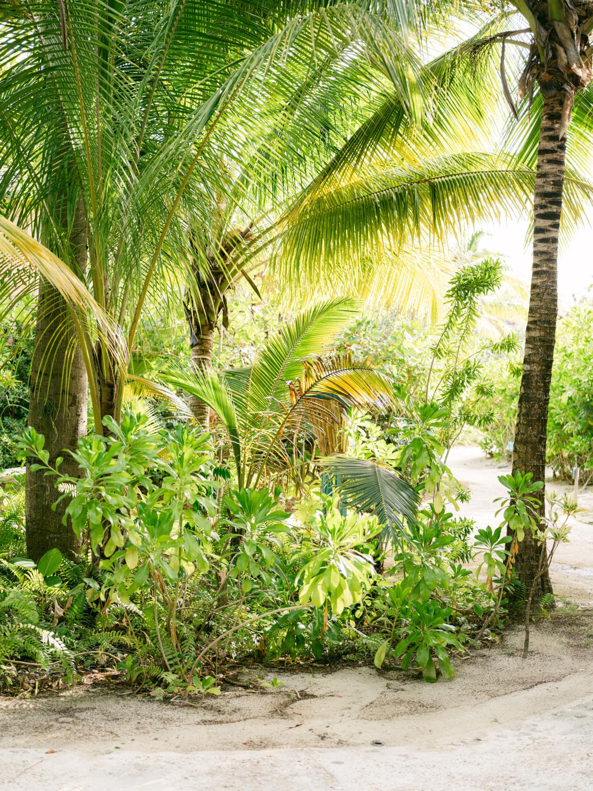 O Malley Goldeneye Jamaica Resort Wedding Photographer 0016