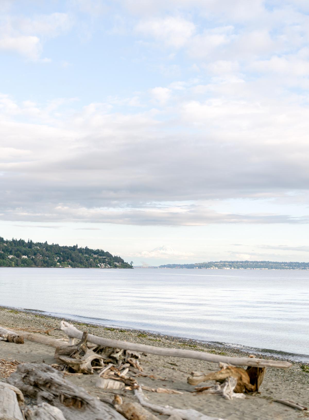 O Malley Photographers Discovery Park Seattle Engagement 0019