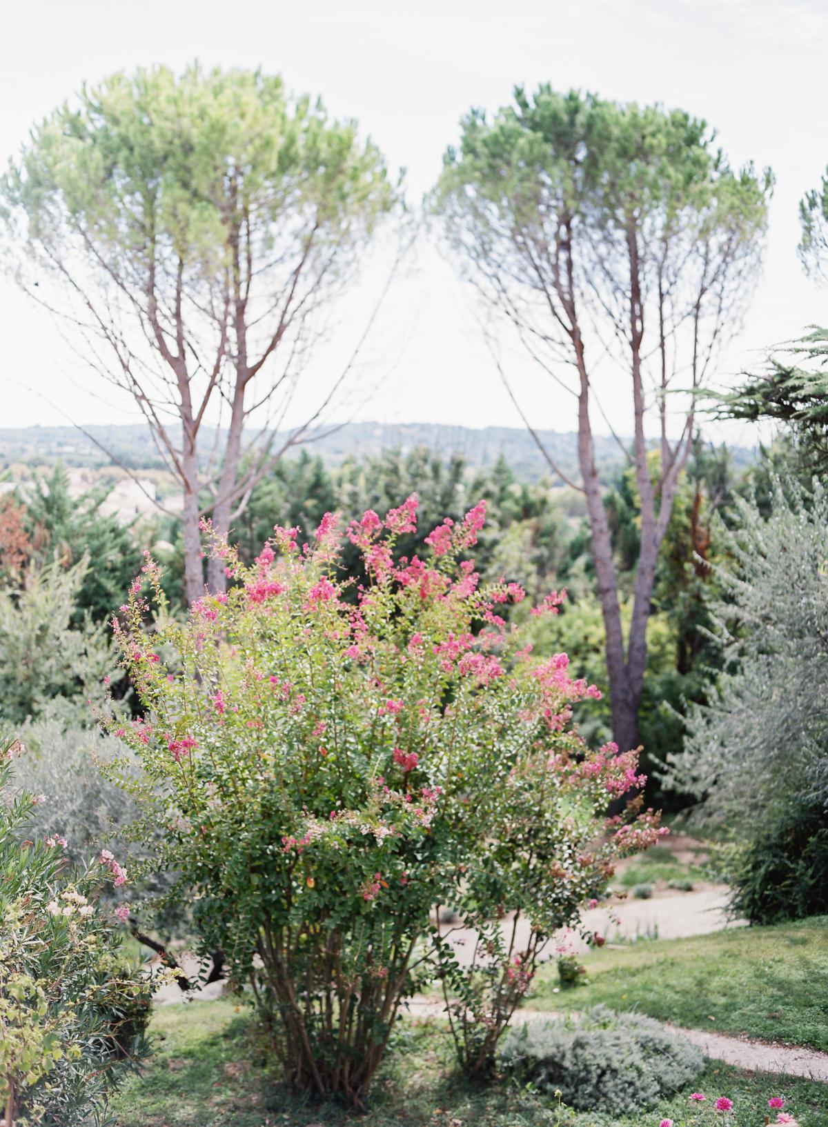 Aix en provence film wedding photographer 0014