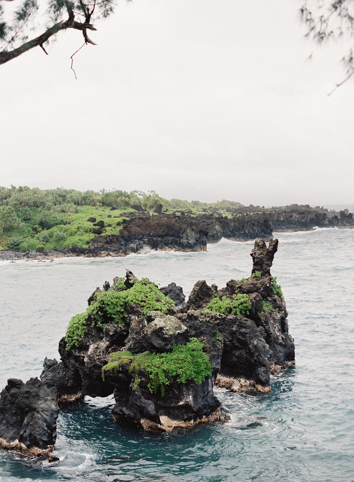 Hawaii Photographer Wedding 0003