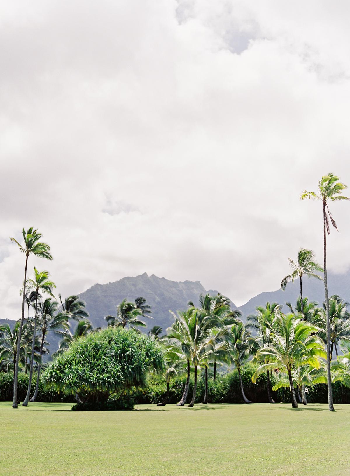 Kauai wedding omalley photographers moana events 0026