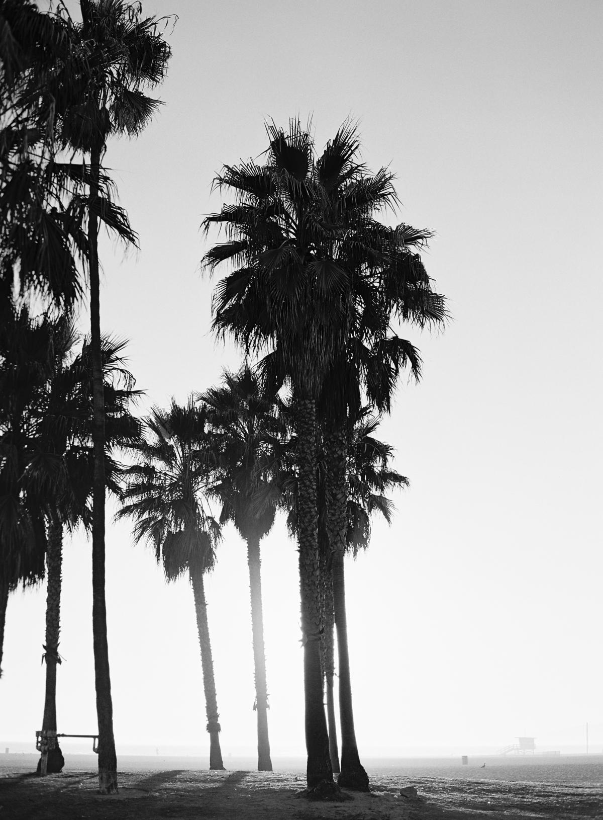 Los Angeles Travel Photos By Omalley Photographers 0003