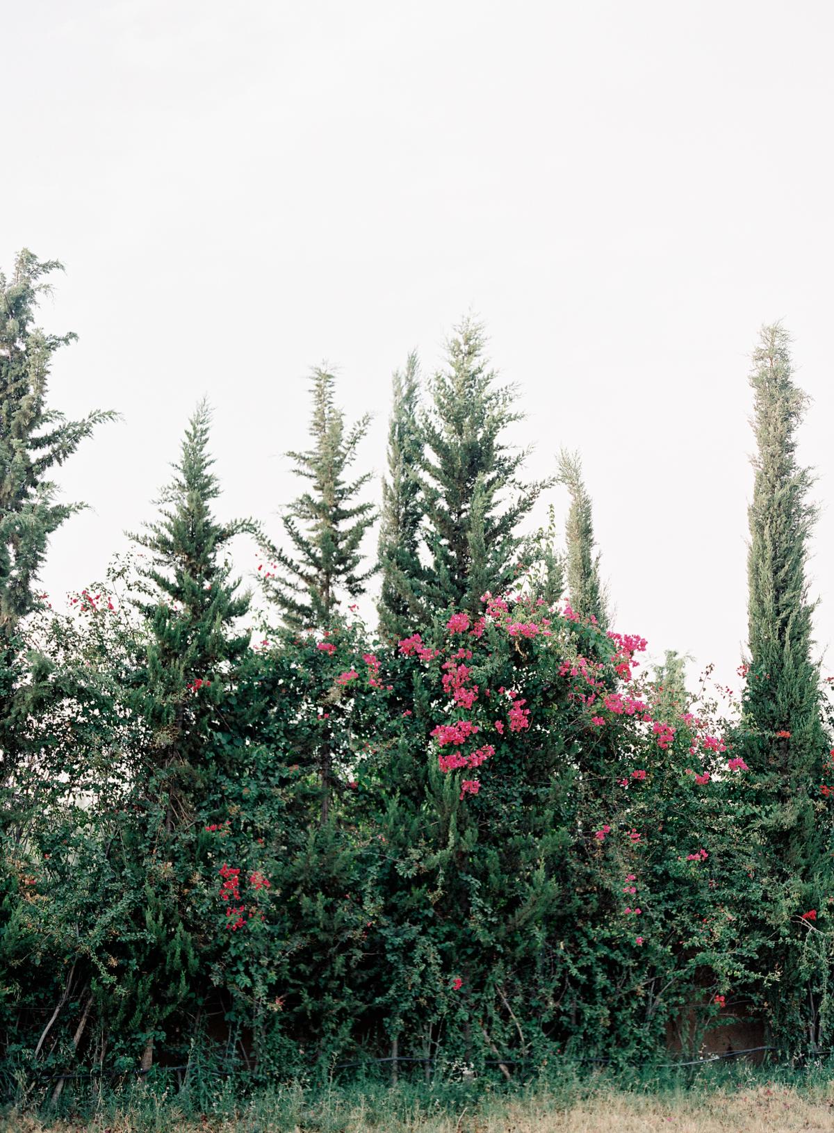 Morocco bridal photography session by omalley photographers 0002